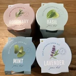 Lot Of 4 Buzzy Garden Grow Kit Indoor Herb Includes Seeds Ceramic Pot. Fixed Price $12.00.
