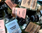 Bath & Body Works White Barn Wallflowers - 4 Single Refill Bulbs "your Choice". Fixed Price $26.95.