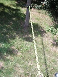 Bac Industries BG-12 Brush Grubber Tugger 6-FOOT Chain Xtreme. Fixed Price $69.82.