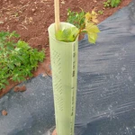 Tubex Combitube Tree Shelters 5 Pack Of. Fixed Price $45.75.
