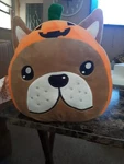 Idea Nuova Plush Tan Puppy Dog Head Harvest Pumpkin Round Squishy Pillow Toy. Fixed Price $7.50.