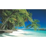 Biggies BG-WW-BCH-80 Window Well Scenes-beach, Wide X 40 High. Fixed Price $67.15.