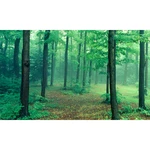 Biggies BG-WW-PTH-120 Window Well Scenes-path, Wide X 60 High. Fixed Price $109.99.