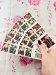 Flowers From The Garden Booklet Of 100 Forever Stamps Mnh #5240B. Fixed Price $29.89.