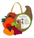 Thanksgiving Blessings Monogram Door Decor 2DHF1205 Evergreen Hanger. Fixed Price $17.99.