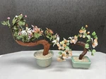 2 Bonsai Tree Plant Multi Color Flowers Jade Green Leaves Ceramic Pot. Fixed Price $75.50.