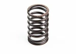 Briggs & Stratton 692180 Valve Spring Replacement For Models 26478, 555076 And. Fixed Price $9.94.