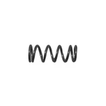 VS-156 Replacement Valve Spring For B&g Equipment Sprayers. Fixed Price $9.45.