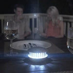 Pic Pbz 2-IN-1 Insect Zapper. Fixed Price $39.65.