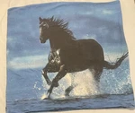 Bertels Pillow Cover Germany Black Horse Blue Water Beach Cotton 29IN Square. Fixed Price $27.50.