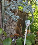 Gardeners! Cast Iron Verdigris Rustic Dragonfly Plant / Bird Feeder Holder. Fixed Price $29.00.