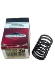 Briggs & Stratton 692180 Valve Spring Replacement For Models 26478, 555076 And. Fixed Price $6.99.