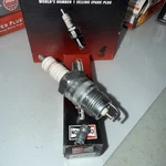 Champion Spark Plug RF14LC Fits Ford F-150/250/350 87-96 Bronco 87-92 Econoline. Fixed Price $32.89.