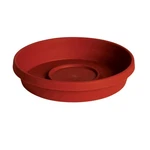 Terratray Trcot 6. Fixed Price $16.28.