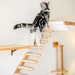Diy Tree Tower Climbing Wallcat Scratching Post Indoor Furniture. Fixed Price $22.99.