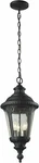Z-lite Medow 3-LIGHT Outdoor Chain Gothic Style 545CHM-BK Seeded Glass Acorn. Fixed Price $199.99.