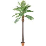 Northlight 8' Potted Artificial Brown And Green Phoenix Palm Tree. Fixed Price $235.49.