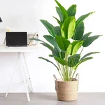 1PC Artificial Plants Large Tropical Palm Tree Fake Banana Pot Not Includ. Fixed Price $7.88.