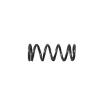 VS-156 Replacement Valve Spring For B&g Equipment Sprayers. Fixed Price $9.99.