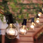 String Lights Brightown GYPC-O255AU 25FT 27 Edison Glass Bulbs Black. Fixed Price $19.89.
