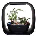 Spigo Intelligent Indoor Led Light Garden, Matte Black. Fixed Price $75.89.