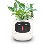 Smart Flower Pot With Ai Technology 7 Sensors For Indoor Plants Automated Caring. Fixed Price $118.48.