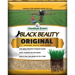 Jonathan Green Black Beauty Tall Fescue Grass Sun Or Shade Seed 5 Lb - Dea. Fixed Price $11.32.