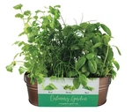 Buzzy Organic Windowsill Grow Kit Copper Culinary Garden With Basil, Cilant.... Fixed Price $25.40.
