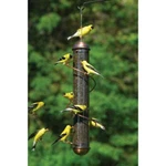 Copper Spiral Thistle (nyjer) Finch Feeder Songbird Essentials Free Ship. Fixed Price $58.75.