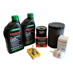 Kawasaki 99969-6545 Tune Up Kit Fits FT730V Efi Models. Fixed Price $86.99.