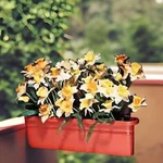 Planter Terra Cotta Plastic Outdoor 20"L Renovator's Supply. Fixed Price $39.99.