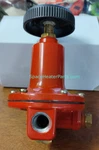 LPA2020 Regulator 0-20 Psi 375K Btu Heaters 6258 7406. Fixed Price $40.00.