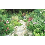 Biggies BG-WW-GDN-120 Window Well Scenes-garden, Wide X 60 High. Fixed Price $121.99.