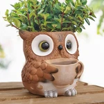 Unique Owl Plant Pots Indoor, Cute Small Succulent With Drainage Hole, W.... Fixed Price $26.39.