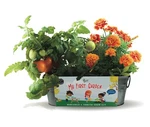 Buzzy My First Garden Windowsill Grow Kit, Tomato And Marigold Seeds, I.... Fixed Price $25.40.