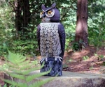 Gardeneer Dalen Sol-r Action Large Solar Fake Owl Decoy To 18 In., Black. Fixed Price $69.00.