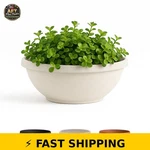 Bloem Terra 14" Round Planter Bowl - Vanilla Bean. Fixed Price $36.99.