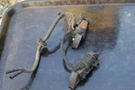 Used Honda 4514 31630-ZA0-L01 Charge Coil. Fixed Price $59.99.