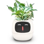 Smart Flower Pot With Ai Technology 7 Sensors Automatic Plant Care Indoor Garden. Fixed Price $106.64.