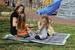 Camco 42808 Picnic Blanket Chartreuse. Fixed Price $41.58.