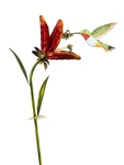 Regal Art, Hummingbird, Flower Stake, Ruby Throated, 44". Fixed Price $23.99.
