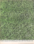 1961 Scotts Turf Builder Lawn Care Fertilizer Seed Vintage Print Ad Green Grass. Fixed Price $16.97.