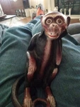 Rare 1920S Cast Iron Monkey Bank. Fixed Price $29.99.