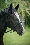 Thinline Ez Harmony Bitless Noseband Bridle Converter - English Or Western. Fixed Price $63.00.