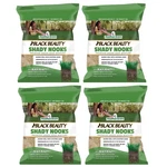 Jonathan Green Black Beauty Shady Nooks Premium Grass Seed Mixture, 7LB (4 Pack). Fixed Price $180.91.