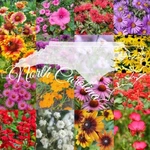 1/4LB North Carolina Bulk Wildflower Seed Mix 1LB Covers 2,000SQ-FT. Fixed Price $25.95.