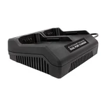 Snow Joe + Sun Ionmax Lithium-ion Battery Dual Port Charger 40V ICHRG40-DPC. Fixed Price $24.99.