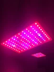 Roleadro Grow Light, 1000W Led Full Spectrum Galaxyhydro Series. Fixed Price $58.00.