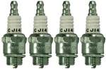 Genuine Oem Champion Part # CJ14; Spark Plug Pack. Fixed Price $16.63.