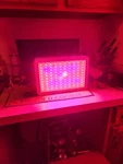 Galaxyhydro Led Grow Plant Light Fixture Hyg-mini 100*3W-W Color 9 Band Read. Fixed Price $17.99.